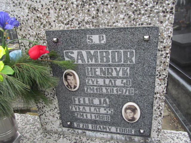 Henryk Sambor Częstochowa Raków - Grobonet - Wyszukiwarka osób pochowanych