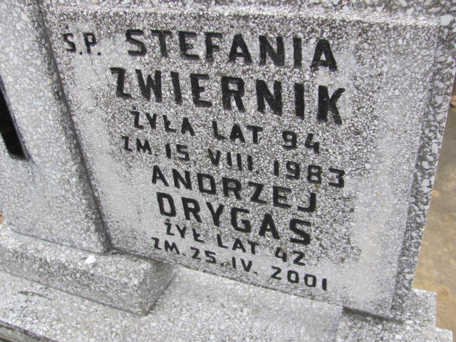 Andrzej Drygas 1958 Częstochowa Raków - Grobonet - Wyszukiwarka osób pochowanych