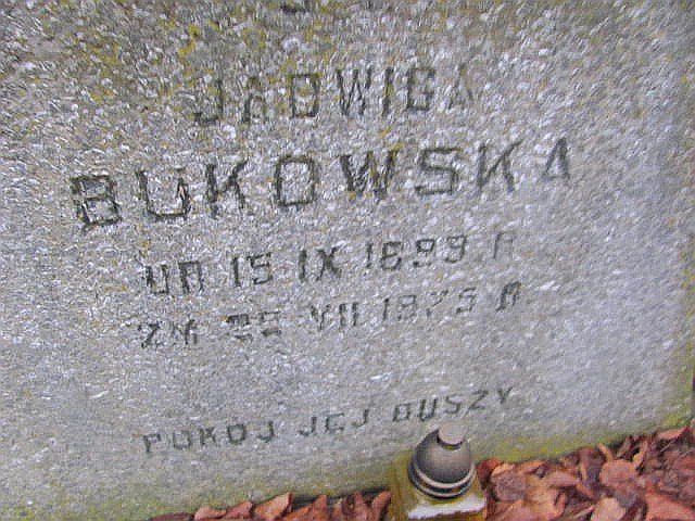 Edmund Bukowski 1930 Częstochowa Raków - Grobonet - Wyszukiwarka osób pochowanych