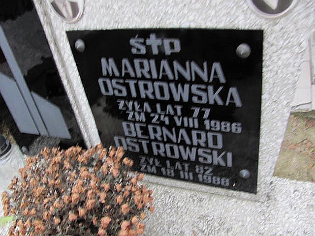 Anna Rynkiewicz 1940 Częstochowa Raków - Grobonet - Wyszukiwarka osób pochowanych