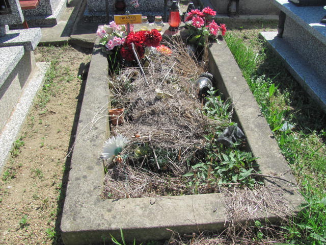  NN Częstochowa Raków - Grobonet - Wyszukiwarka osób pochowanych