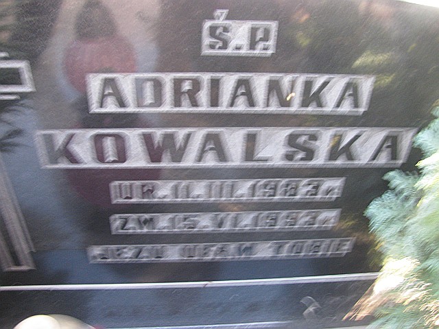 Ewa Kowalska 1956 Częstochowa Raków - Grobonet - Wyszukiwarka osób pochowanych