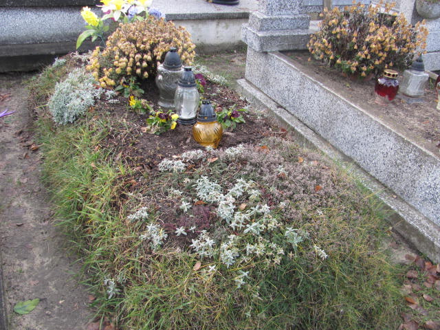 Edward Kimla 1943 Częstochowa Raków - Grobonet - Wyszukiwarka osób pochowanych