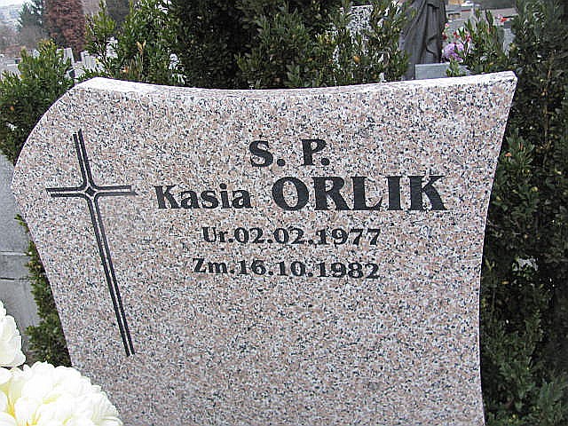 Marek Orlik 1951 Częstochowa Raków - Grobonet - Wyszukiwarka osób pochowanych